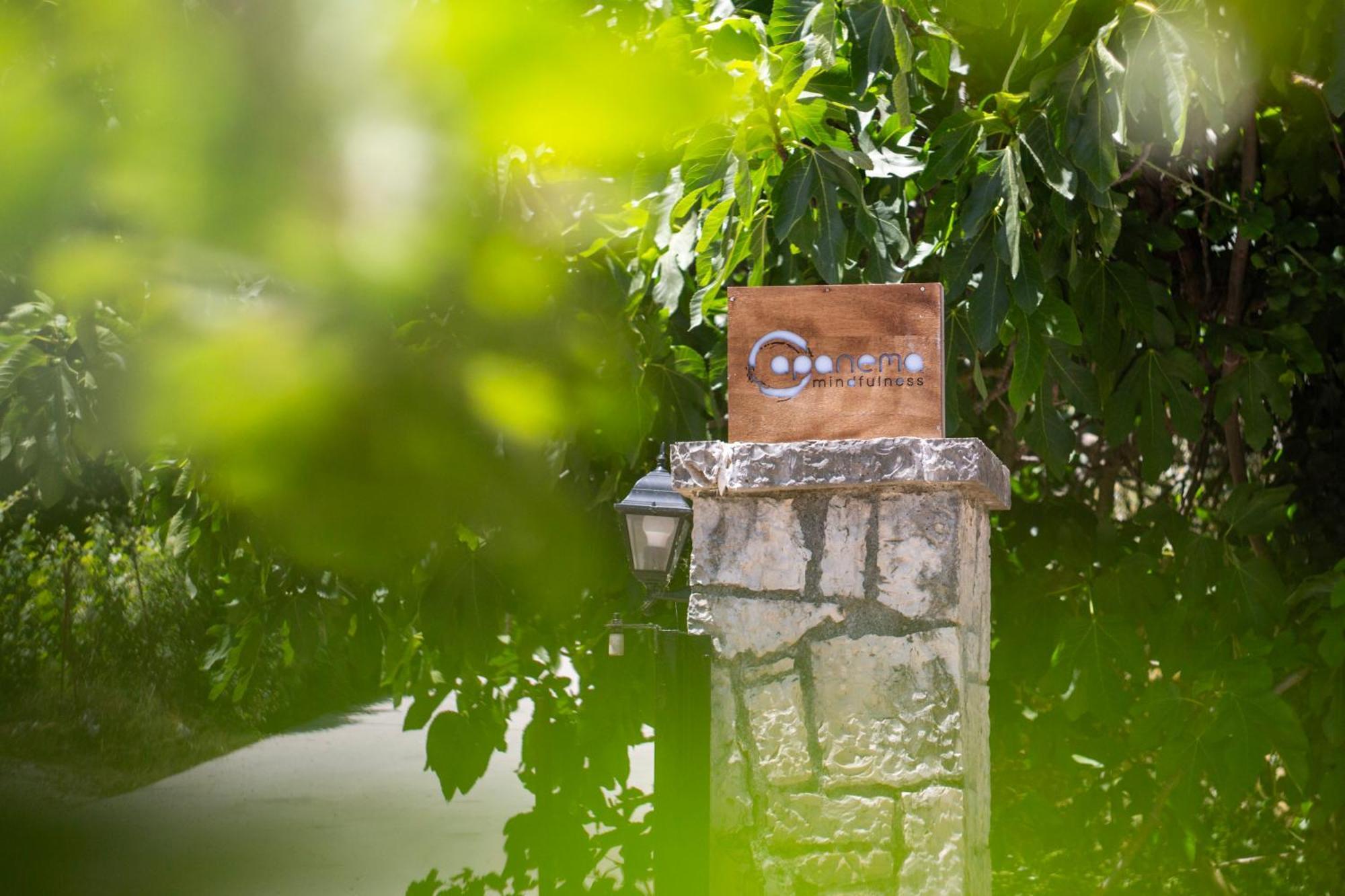 Apanema Mindfulness Resort Lefkada Asprogerakata Экстерьер фото