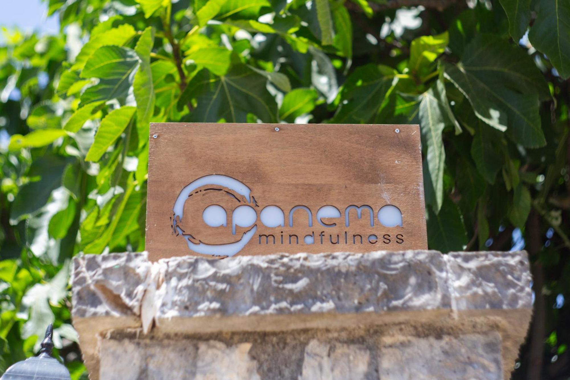 Apanema Mindfulness Resort Lefkada Asprogerakata Экстерьер фото